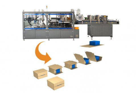 Drop type wrap around case packer