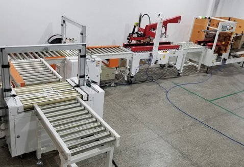 Carton well type packing line
