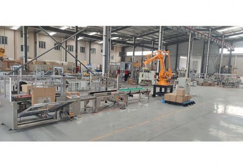 Chemical reagent stainless steel box erecting sealing and palletizing packaging line