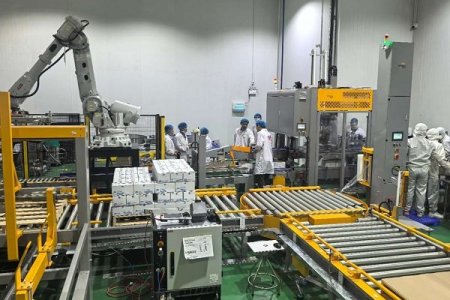 Completion of Qingdao Ausense Automated Packaging Line Project at a Major Vietnamese Food Enterprise