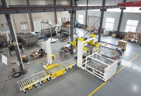 Gantry Low-Level Case Palletizing Line