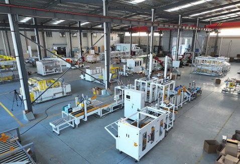 Corn Seed Case Packing and Packaging Line
