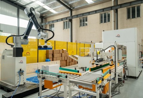 Butter Carton Erecting–Packing–Bagging–Sealing–Palletizing Line