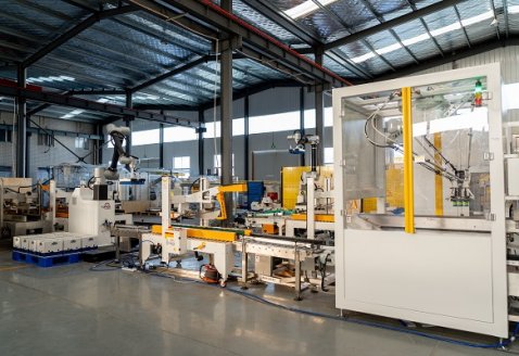 Bagged Cheese Packing and Cartoning Line