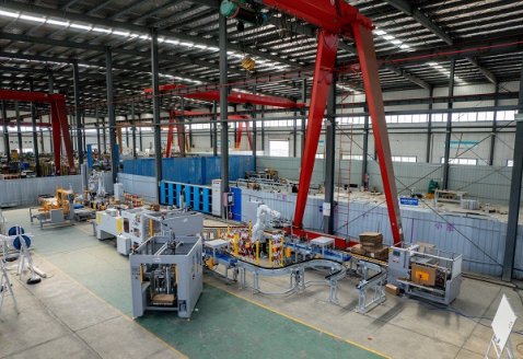Disinfectant Case Packing and Palletizing Machine